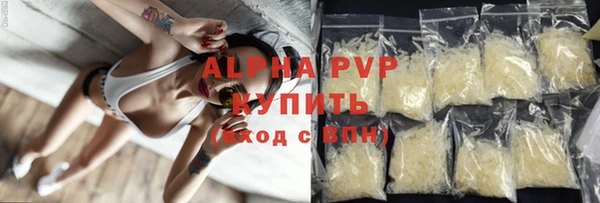 хмурый Абаза