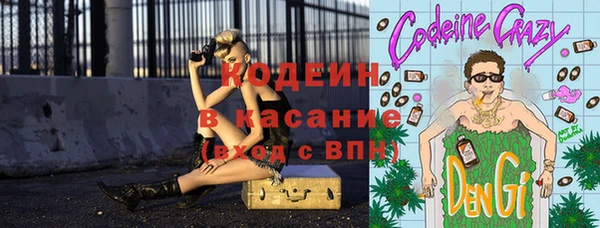 хмурый Абаза