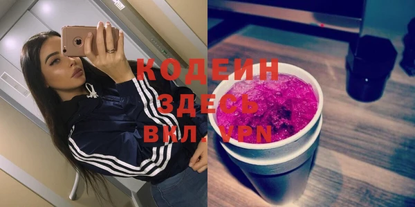 хмурый Абаза