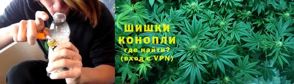 хмурый Абаза