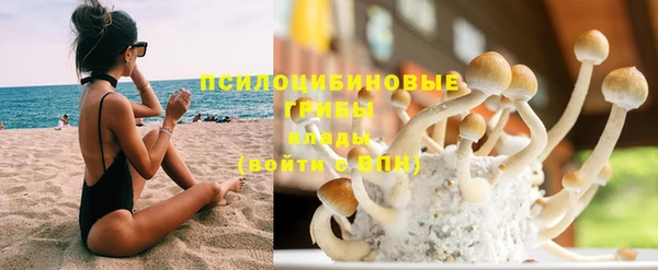 МДПВ Абинск
