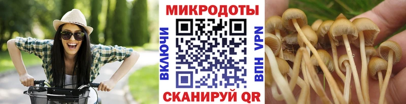 Псилоцибиновые грибы Psilocybine cubensis  Новочебоксарск 