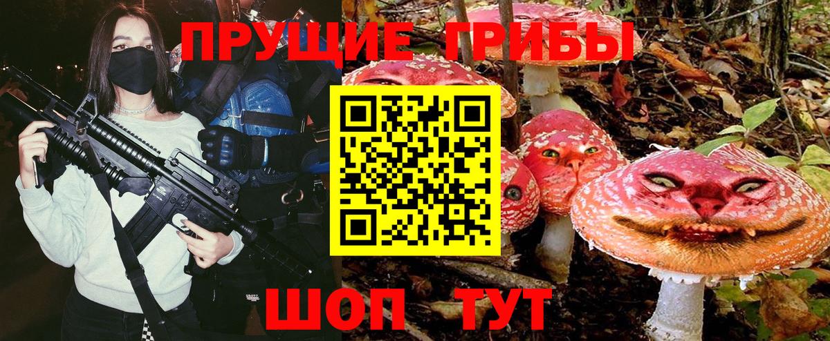 наркошоп  Вход с VPN  Новочебоксарск  Галлюциногенные грибы Psilocybe  Псилоцибиновые грибы MAGIC MUSHROOMS 