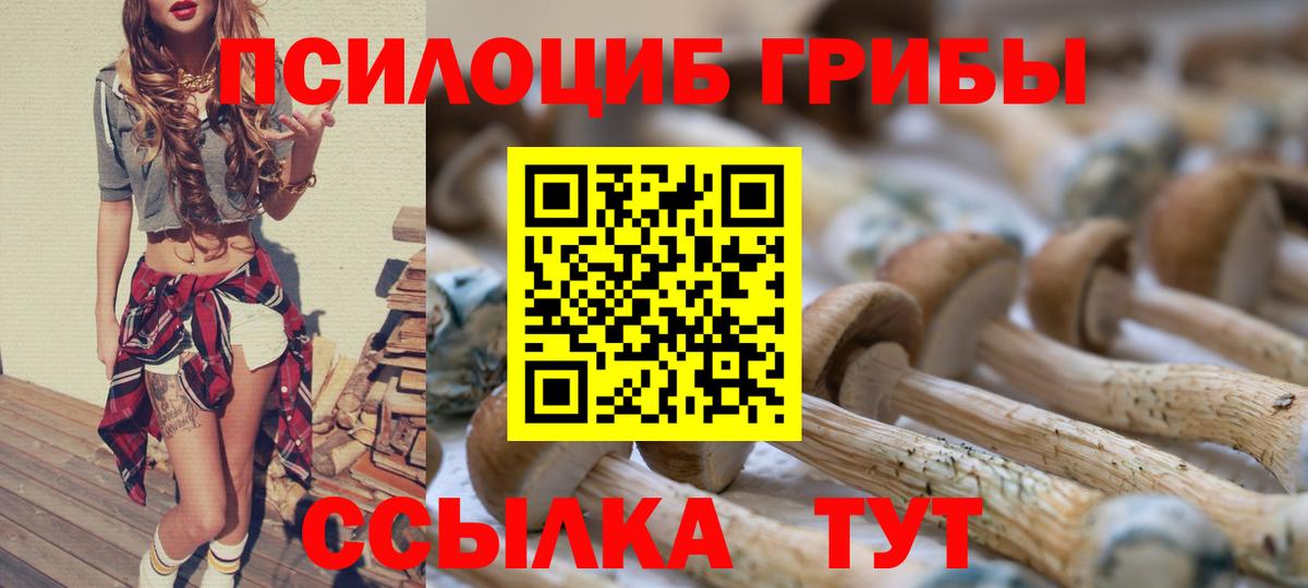 Псилоцибиновые грибы прущие грибы Новочебоксарск